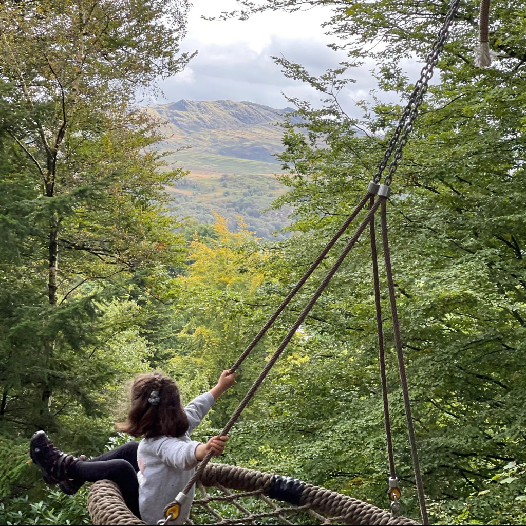 Muncaster Swing
